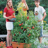 All-in-One Tomato Success Kit