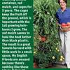 All-in-One Tomato Success Kit