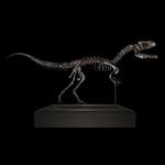 Allosaurus Dinosaur Skeleton - 55% Complete!