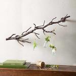 Aluminum Tree Branch Coat Rack