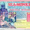 Amazing Live Sea-Monkeys - Executive Set