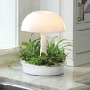 Ambienta Living Table Lamp