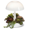 Ambienta Living Table Lamp