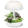 Ambienta Living Table Lamp