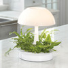 Ambienta Living Table Lamp