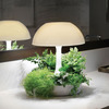 Ambienta Living Table Lamp