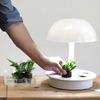 Ambienta Living Table Lamp