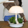 Ambienta Living Table Lamp