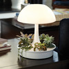 Ambienta Living Table Lamp