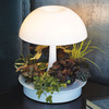 Ambienta Living Table Lamp