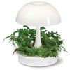 Ambienta Living Table Lamp