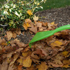 Ames Dual Tine Poly Leaf Rake -  45% Faster