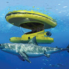 Amphibious Sub-Surface Watercraft