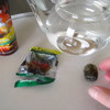 Ancient Blooming Tea - Video Demo