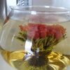 Ancient Blooming Tea - Video Demo