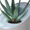 Andrea - Plant-Powered Air Purifier