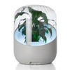 Andrea - Plant-Powered Air Purifier