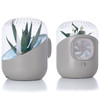 Andrea - Plant-Powered Air Purifier