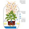Andrea - Plant-Powered Air Purifier