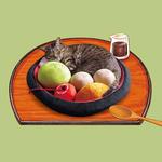 Anmitsu Japanese Dessert Cat Bed