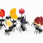 Ant Party Picks