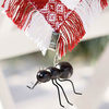 Ant Tablecloth Weights