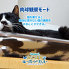 Anti-Cat Keyboard Cover