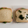 Anti-Theft Lunch Bags