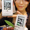 Ant's Life Studio - Virtual Interactive Ant Farm