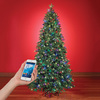 App-Controlled Music And Light Show Christmas Tree