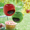 Apple Bird Feeders