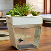AquaFarm - Aquaponic Garden and Self-Cleaning Aquarium