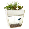 AquaFarm - Aquaponic Garden and Self-Cleaning Aquarium