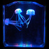 Aquapict LED Illuminated Jellyfish Aquarium