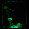Aquapict LED Illuminated Jellyfish Aquarium