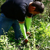 Armed Gardener - Heavy Duty Arm Protection Gardening Sleeves