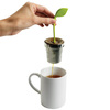 Arta Tea Leaf Infuser