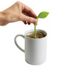 Arta Tea Leaf Infuser