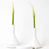 Tab A/B - Ashtray Vase or Planter