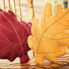 Autumn Leaves Throw Pillows