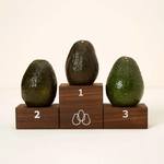 Avocado Ripeness Ranker