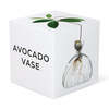 Avocado Vase