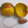 AvoLoop - Peel, Prep, and Seeding Tool for Fruits and Vegetables
