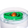 AvoSeedo - Grow Your Own Avocado Tree