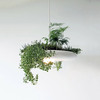 Babylon Light - Hanging Garden Light Fixture