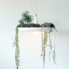 Babylon Light - Hanging Garden Light Fixture