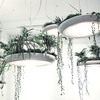 Babylon Light - Hanging Garden Light Fixture