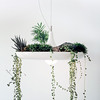 Babylon Light - Hanging Garden Light Fixture