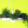 Babylon Light - Hanging Garden Light Fixture