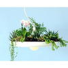 Babylon Light - Hanging Garden Light / Planter